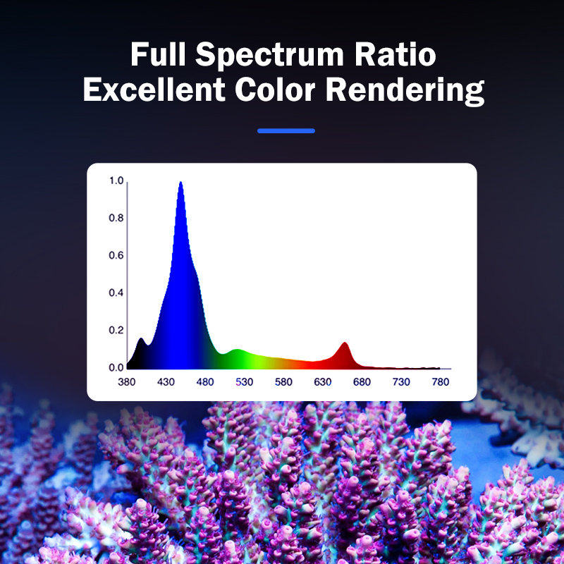 ไฟสำหรับปะการังแบบแผ่นเรียบ T1 - Reef Lighting บทวิจารณ์และราคา