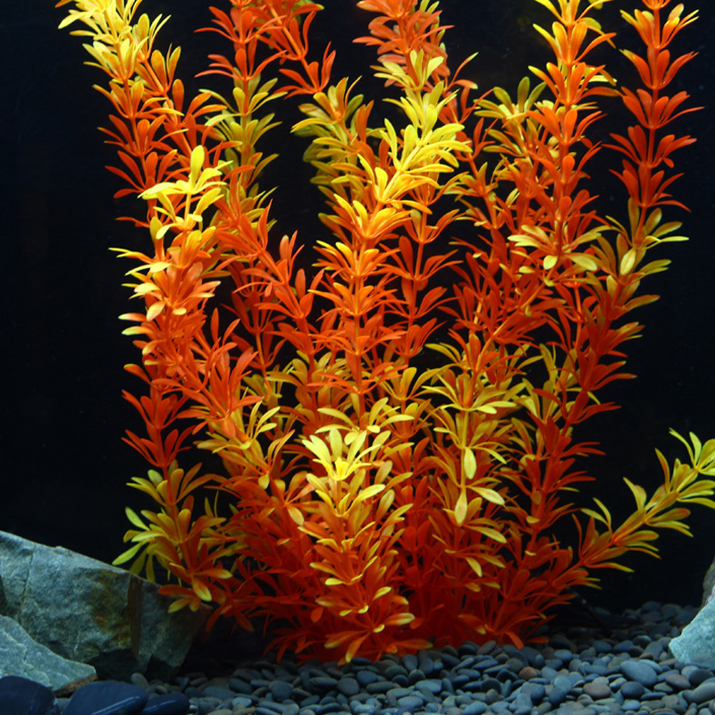 ต้นไม้เขตร้อนขนาด 100 ซม. หญ้า - Ocean Aquarium บทวิจารณ์และราคา