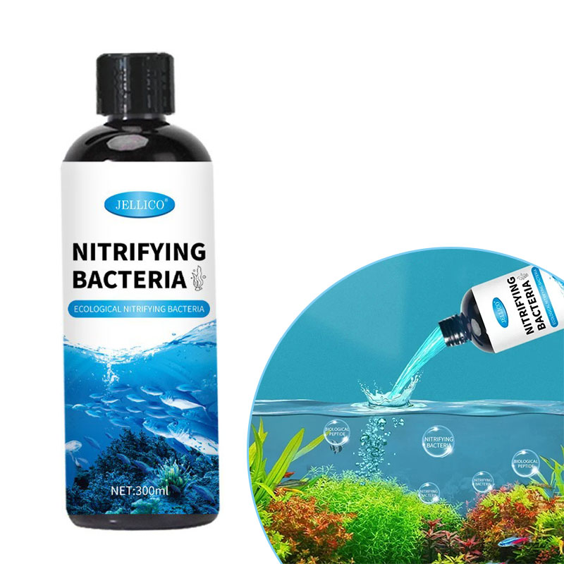 Nitrifying Bacteria Liquid Fis - Ocean Aquarium บทวิจารณ์และราคา