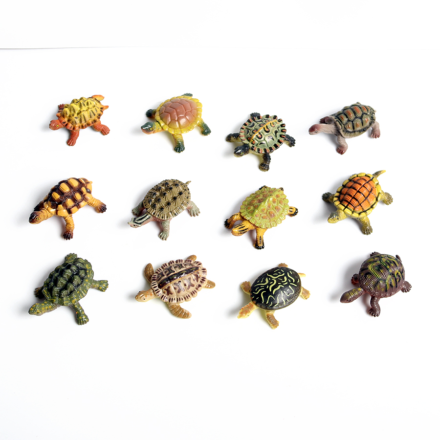 โมเดลเต่าทะเลขนาดเล็กเหมือนจริ - Ocean Aquarium บทวิจารณ์และราคา
